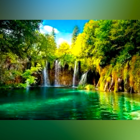 Live Show $5, $10, $20, $45 runs. Come on in and join the fun - Picture 6 of 15